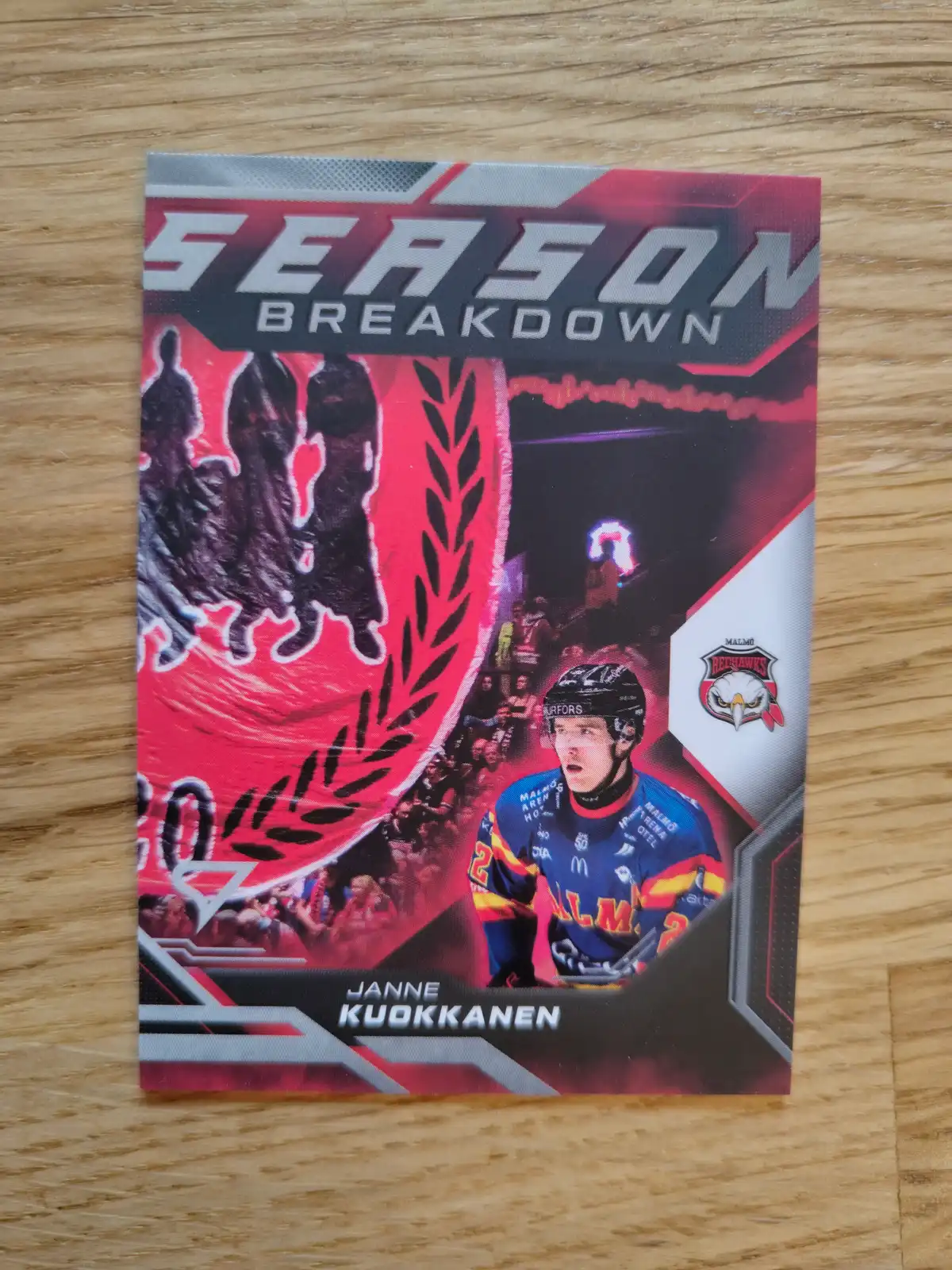 Janne Kuokkanen Malmö Redhawks Breakdown Season 25/26